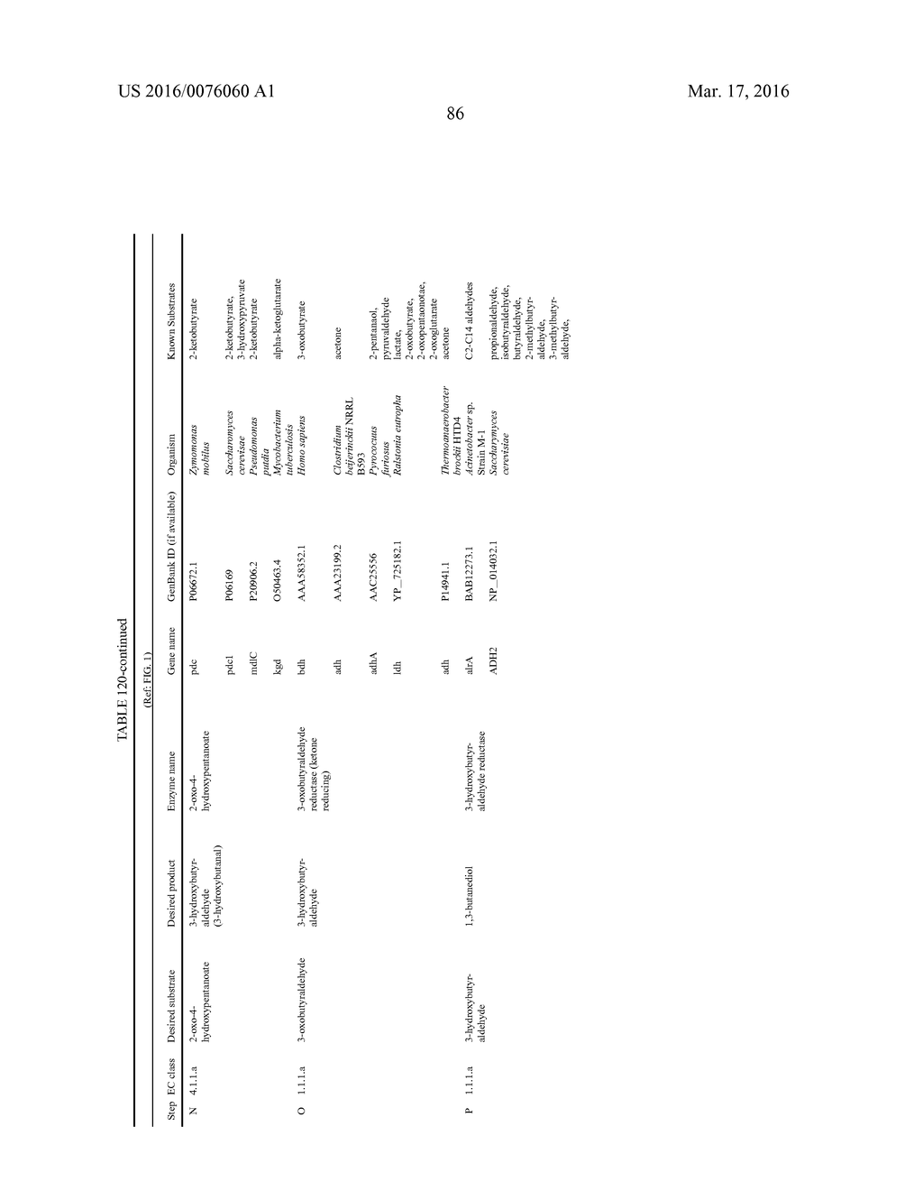 Microorganisms for Producing 1,3-Butanediol and Methods Related Thereto - diagram, schematic, and image 111