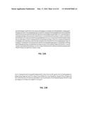 Microorganisms for Producing 1,3-Butanediol and Methods Related Thereto diagram and image