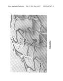 METHOD FOR THROMBOGENICITY TESTING OF IMPLANTED MEDICAL DEVICE diagram and image