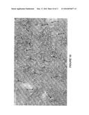 METHOD FOR THROMBOGENICITY TESTING OF IMPLANTED MEDICAL DEVICE diagram and image