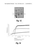 ENZYME-PORE CONSTRUCTS diagram and image