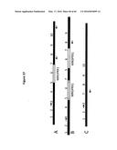 ANALYSIS OF NUCLEIC ACIDS diagram and image