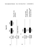 ANALYSIS OF NUCLEIC ACIDS diagram and image