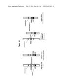 ANALYSIS OF NUCLEIC ACIDS diagram and image