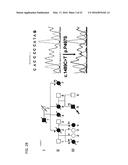 MOLECULAR TARGETS FOR ALS AND RELATED DISORDERS diagram and image