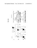 MOLECULAR TARGETS FOR ALS AND RELATED DISORDERS diagram and image