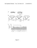 COMPOSITIONS AND METHODS FOR DIAGNOSIS AND TREATMENT OF EPILEPSY diagram and image