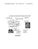 COMPOSITIONS AND METHODS FOR DIAGNOSIS AND TREATMENT OF EPILEPSY diagram and image