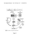 COMPOSITIONS AND METHODS FOR DIAGNOSIS AND TREATMENT OF EPILEPSY diagram and image