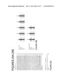 COMPOSITIONS AND METHODS FOR DIAGNOSIS AND TREATMENT OF EPILEPSY diagram and image