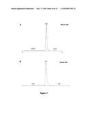 ANALYSIS AND ASSAY OF GLYCATED HAEMOGLOBINS BY CAPILLARY ELECTROPHORESIS,     BUFFER COMPOSITIONS AND KITS FOR CAPILLARY ELECTROPHORESIS diagram and image