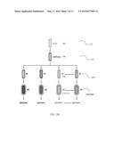 NANOCOMPOSITES AND METHODS OF MAKING SAME diagram and image