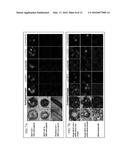 NANOCOMPOSITES AND METHODS OF MAKING SAME diagram and image