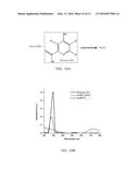 NANOCOMPOSITES AND METHODS OF MAKING SAME diagram and image