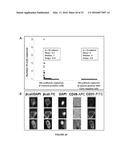 METHOD OF ISOLATING CIRCULATING TUMOR CELLS diagram and image