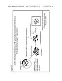 POLYSPECIFICITY REAGENTS, METHODS FOR THEIR PREPARATION AND USE diagram and image