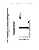 Methods of Identifying Candidate Compounds of the Human G Protein-Coupled     Receptor, GPR50, as Modulators of Body Mass or Adiposity diagram and image