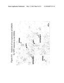 Methods of Identifying Candidate Compounds of the Human G Protein-Coupled     Receptor, GPR50, as Modulators of Body Mass or Adiposity diagram and image