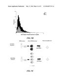 ASSAYS AND METHODS OF TREATMENT RELATING TO VITAMIN D INSUFFICIENCY diagram and image