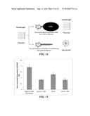 ASSAYS AND METHODS OF TREATMENT RELATING TO VITAMIN D INSUFFICIENCY diagram and image