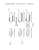 TRANSFERRING SPIN POLARIZATION diagram and image