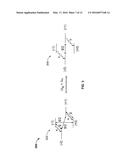 TRANSFERRING SPIN POLARIZATION diagram and image