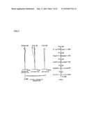 VARIABLE MAGNIFICATION OPTICAL SYSTEM, IMAGING APPARATUS, AND METHOD FOR     MANUFACTURING VARIABLE MAGNIFICATION OPTICAL SYSTEM diagram and image