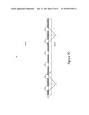 DISPLAY APPARATUS INCORPORATING TOUCH SENSORS FORMED FROM LIGHT-BLOCKING     MATERIALS diagram and image