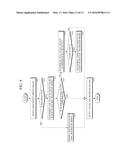 COMPUTER AIDED DIAGNOSIS APPARATUS AND METHOD BASED ON SIZE MODEL OF     REGION OF INTEREST diagram and image