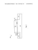 Metal-Oxide-Semiconductor Field-Effect Transistor with Extended Gate     Dielectric Layer diagram and image