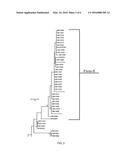 FRUCTOBACILLUS AS A PROBIOTIC FOR HONEYBEES diagram and image