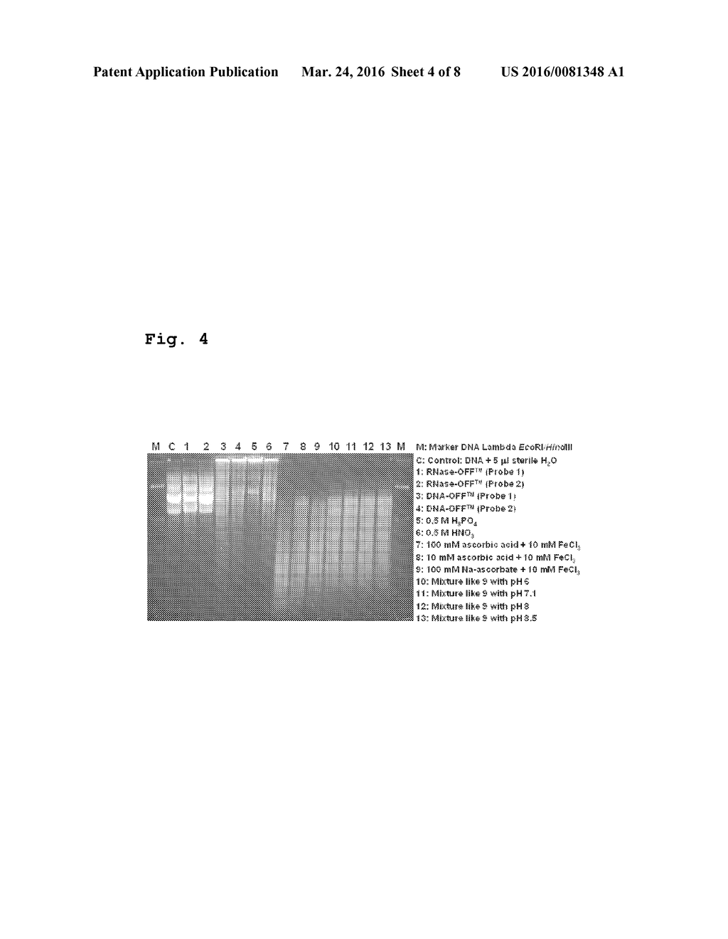 Decontamination solution and its use for denaturation, modification,     degradation, solubilisation and removal of proteins, nucleic acid     molecules and microorganisms - diagram, schematic, and image 05