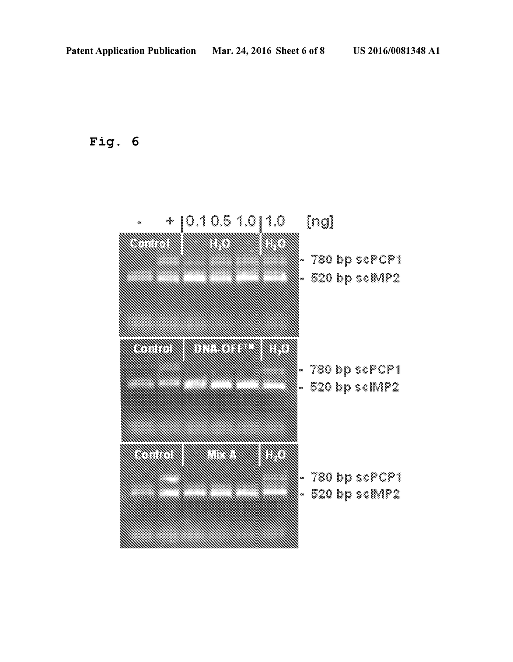 Decontamination solution and its use for denaturation, modification,     degradation, solubilisation and removal of proteins, nucleic acid     molecules and microorganisms - diagram, schematic, and image 07