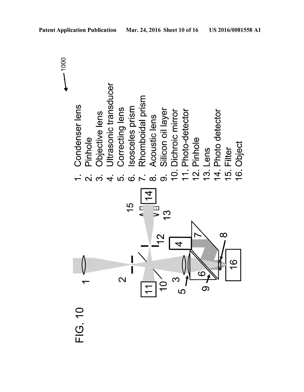 METHOD OF PHOTOACOUSTIC MICROSCOPY WITH LATERAL RESOLUTION OF     MICROVASCULATURE - diagram, schematic, and image 11