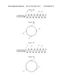 SYSTEM AND METHOD FOR MAPPING THE FUNCTIONAL NERVES INNERVATING THE WALL     OF ARTERIES, 3-D MAPPING AND CATHETERS FOR SAME diagram and image