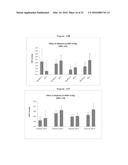 SYSTEM AND METHOD FOR MAPPING THE FUNCTIONAL NERVES INNERVATING THE WALL     OF ARTERIES, 3-D MAPPING AND CATHETERS FOR SAME diagram and image