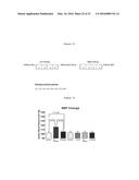 SYSTEM AND METHOD FOR MAPPING THE FUNCTIONAL NERVES INNERVATING THE WALL     OF ARTERIES, 3-D MAPPING AND CATHETERS FOR SAME diagram and image