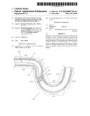 METHODS, SYSTEMS AND DEVICES FOR REDUCING THE LUMINAL SURFACE AREA OF THE     GASTROINTESTINAL TRACT diagram and image