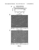 Compositions and Methods for the Prevention of Scarring and/or Promotion     of Wound Healing diagram and image