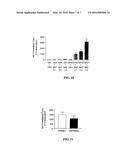 PHARMACOLOGICAL TREATMENT OF PARKINSON S DISEASE diagram and image