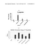 METHOD OF INHIBITING QUORUM SENSING USING D-GALACTOSE diagram and image