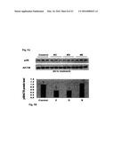 COMPOSITIONS OF SELENOORGANIC COMPOUNDS AND METHODS OF USE THEREOF diagram and image