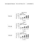 CANCER THERAPY WITH A PARVOVIRUS COMBINED WITH A BCL-2 INHIBITOR diagram and image