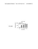 CANCER THERAPY WITH A PARVOVIRUS COMBINED WITH A BCL-2 INHIBITOR diagram and image