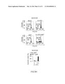 CANCER THERAPY WITH A PARVOVIRUS COMBINED WITH A BCL-2 INHIBITOR diagram and image