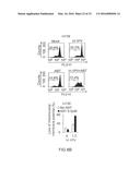 CANCER THERAPY WITH A PARVOVIRUS COMBINED WITH A BCL-2 INHIBITOR diagram and image