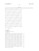 FLAGELLIN RELATED POLYPEPTIDES AND USES THEREOF diagram and image