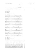 FLAGELLIN RELATED POLYPEPTIDES AND USES THEREOF diagram and image