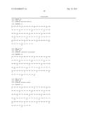 FLAGELLIN RELATED POLYPEPTIDES AND USES THEREOF diagram and image