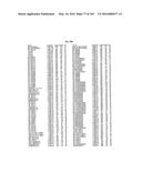 FLAGELLIN RELATED POLYPEPTIDES AND USES THEREOF diagram and image